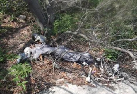 湖南一男童家中蹊跷失踪后身亡，该事件背后有着怎样的真相？