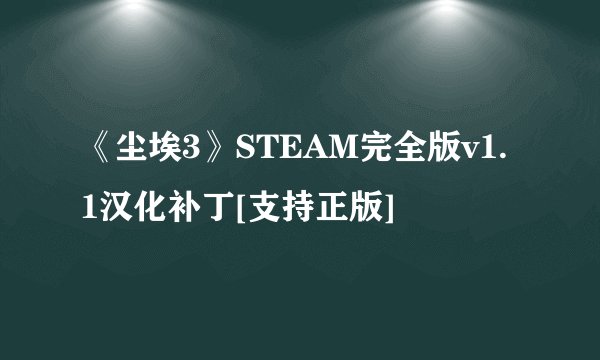 《尘埃3》STEAM完全版v1.1汉化补丁[支持正版]