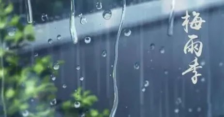 入梅是什么意思啊