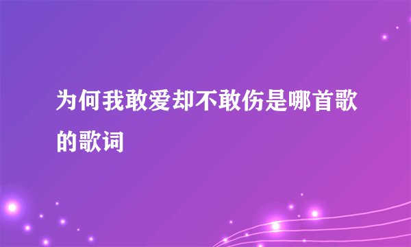 为何我敢爱却不敢伤是哪首歌的歌词