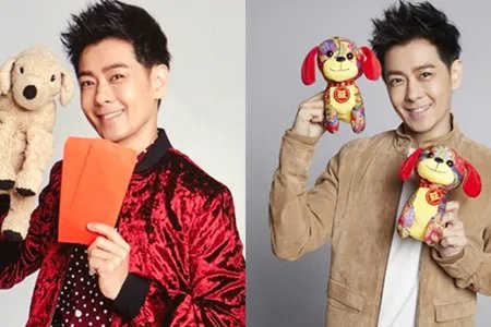 林志颖儿子跌伤脸 让粉丝大呼心疼