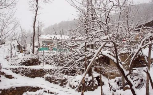 河南多地景区飘起鹅毛大雪，瑞雪代表着什么？
