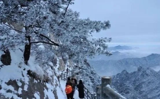 河南多地景区飘起鹅毛大雪，瑞雪代表着什么？