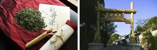 杭州的龙井茶有什么特色？
