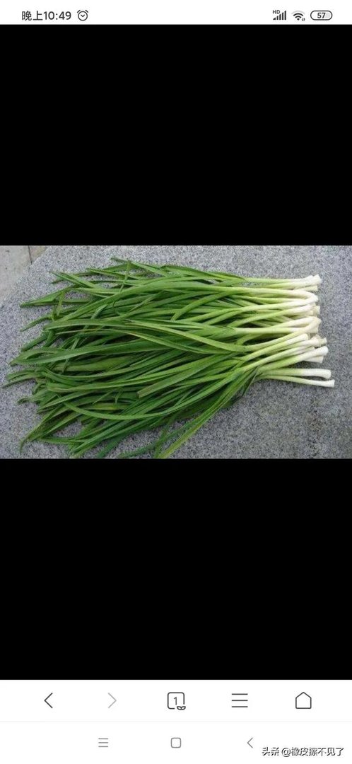 青蒜种植需要注意哪些事项？