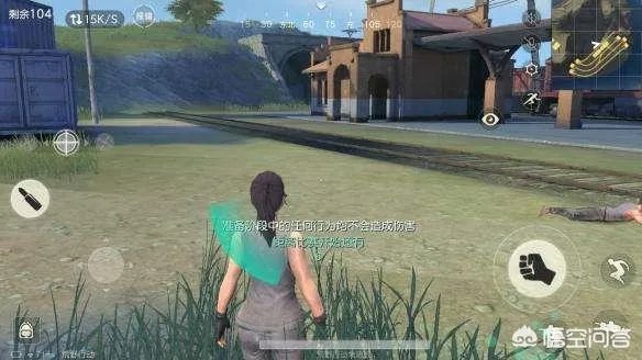 大家使用什么手机玩吃鸡游戏?