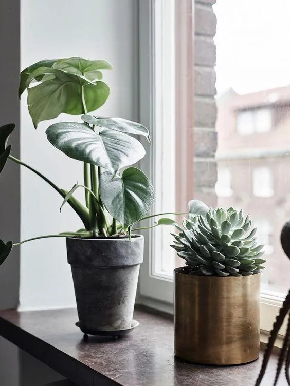 系统窗好还是平移窗好？