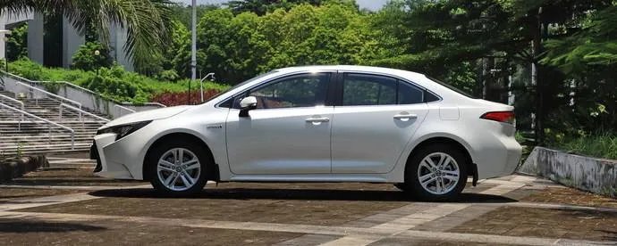 丽水车辆违章查询网,丽水车辆违章查询系统官方入口