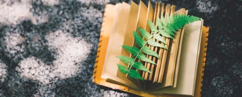 书香门第中的书香指什么