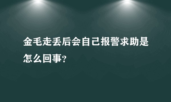 金毛走丢后会自己报警求助是怎么回事？
