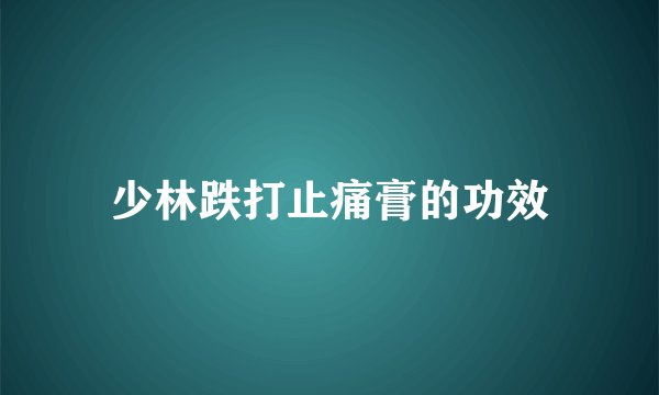 少林跌打止痛膏的功效