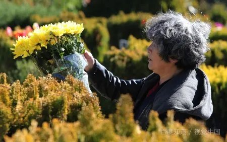 2020冬至是几月几