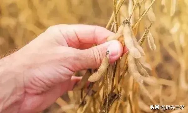 受疫情影响，已有国家禁止出口粮食，你怎么看？