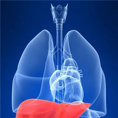 丙肝的主要症状?