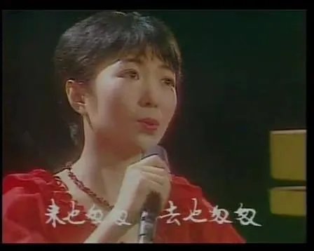 风雨兼程歌词什么意思？