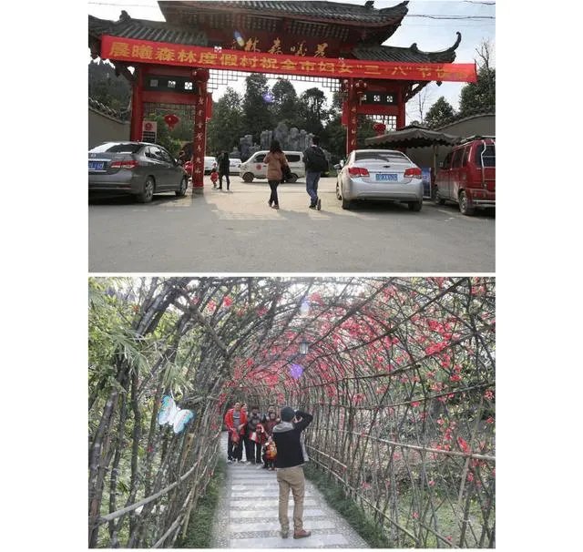 绵阳农家乐推荐