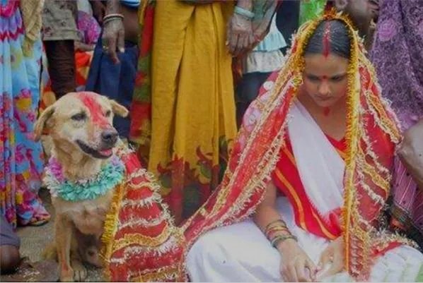 印度最奇葩部落，女子牙口不好就要与狗结婚，为何如此“奇葩”？