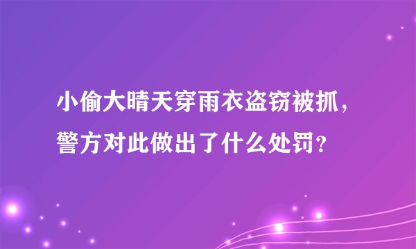小偷大晴天穿雨衣盗窃被抓，警方对此做出了什么处罚？