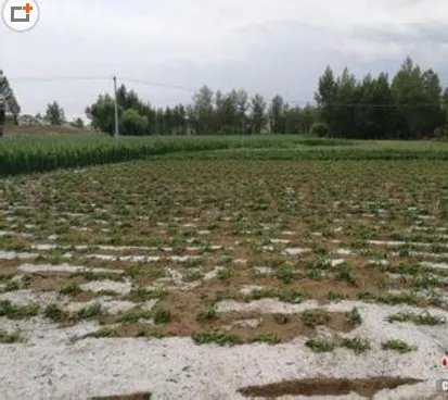 内蒙古风雹灾害造成多少人死亡?