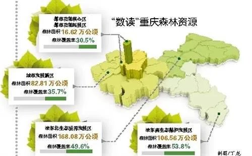 为什么重庆近日的空气质量指数都远超200了,而重庆人只认为它是雾?