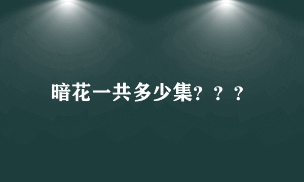 暗花一共多少集？？？