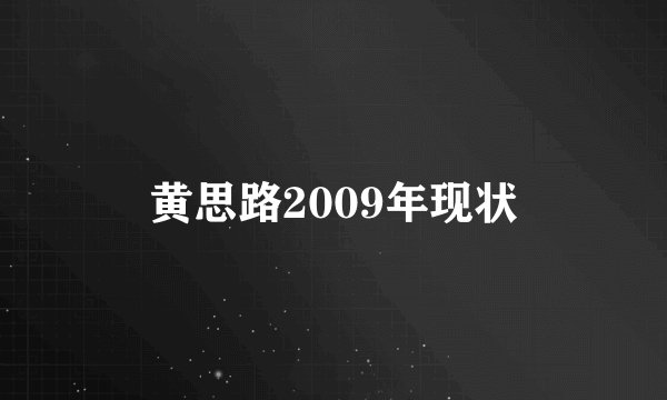 黄思路2009年现状