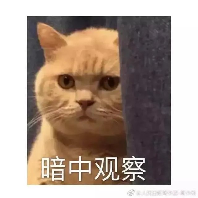 上联：东方不亮诸葛亮，下联怎么对？