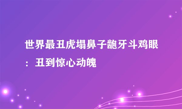 世界最丑虎塌鼻子龅牙斗鸡眼：丑到惊心动魄