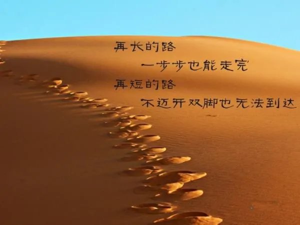 人生的黄金十年的介绍