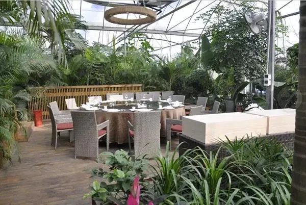 绵阳农家乐推荐