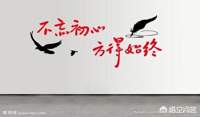 如何建立公司内部质量管理体系？