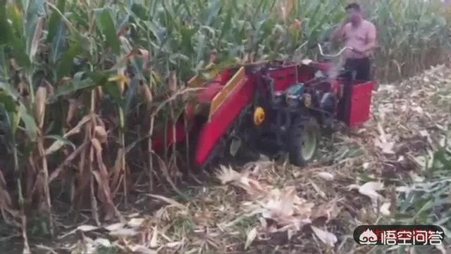 玉米收割机扒皮不净怎么办?