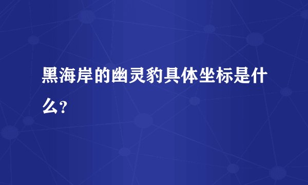 黑海岸的幽灵豹具体坐标是什么？