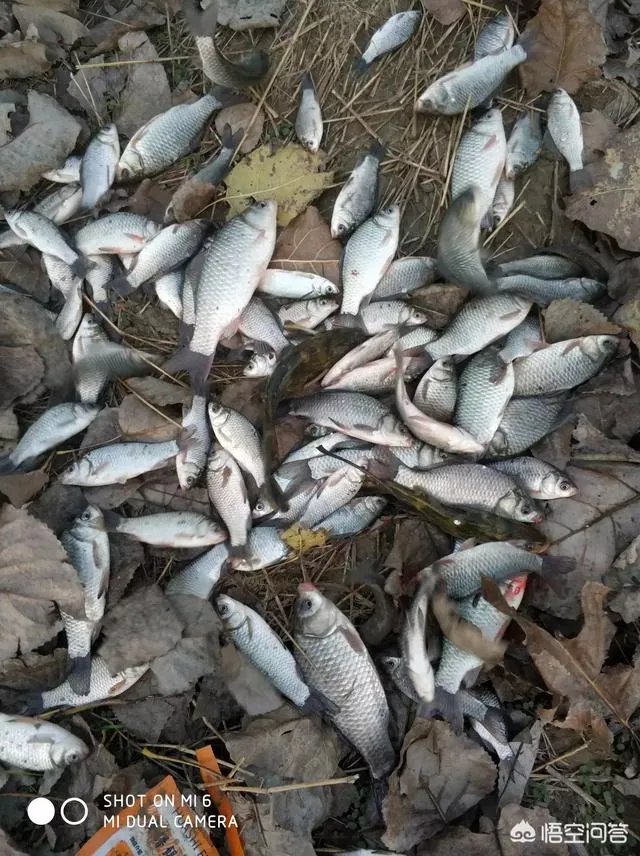 哪里有比较幽静的钓鱼的地方？