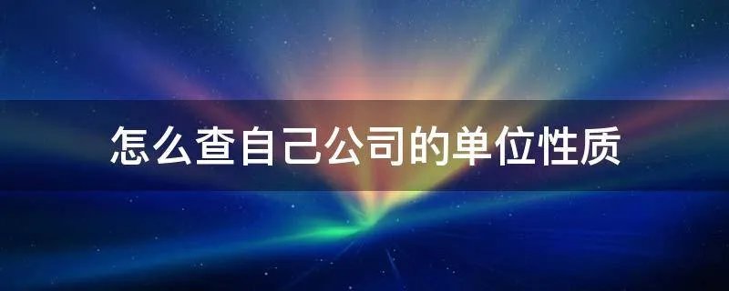 怎么查自己公司的单位性质