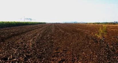 自由土地的介绍