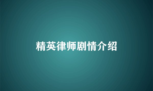 精英律师剧情介绍