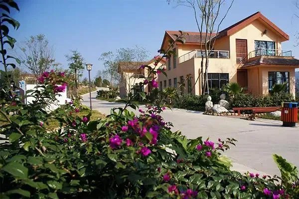 绵阳农家乐推荐