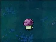 《植物大战僵尸》植物详细介绍（加强版）