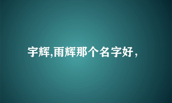 宇辉,雨辉那个名字好，