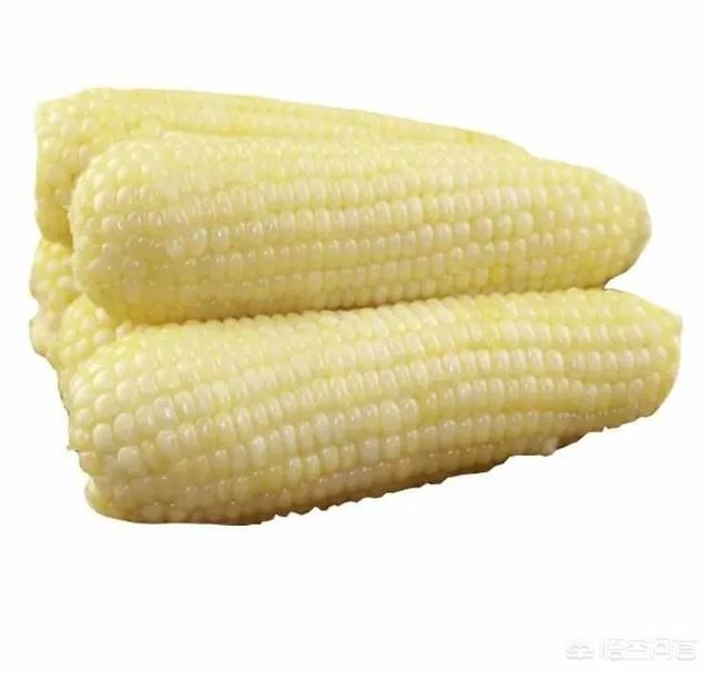 在忻州种什么品种的玉米比较好？