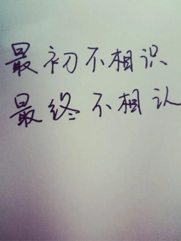 没有感情的感情的歌词