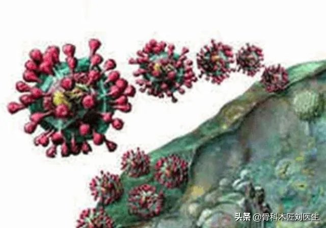 谁能解释一下昨天19号湖北省的新增病例统计是如何计算的，一头雾水？