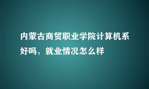 内蒙古商贸职业学院计算机系好吗，就业情况怎么样