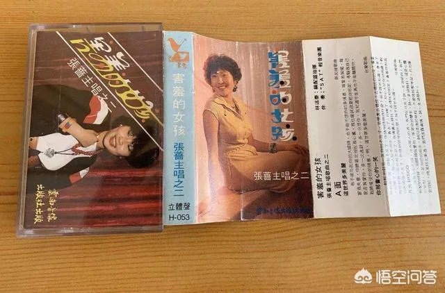 你还记得张蔷吗？还记得蔷姐唱过的那些歌吗？