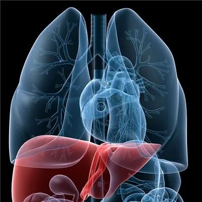 肝病有什么注意事项？