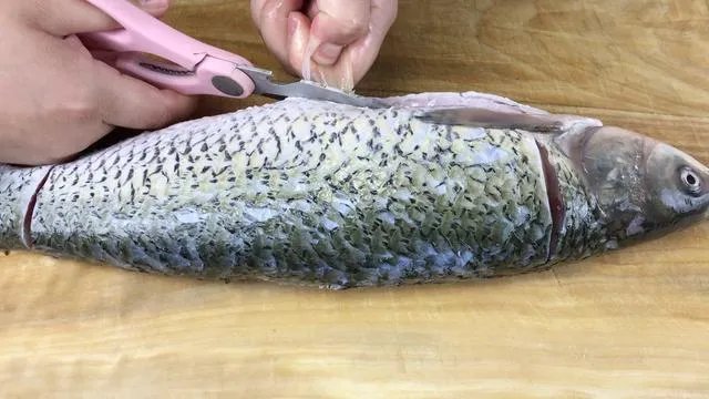 清炖草鱼的做法和步骤？