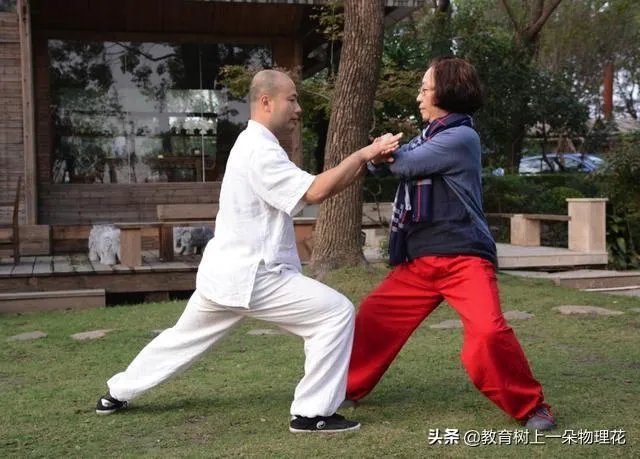 如何评价太极推手？