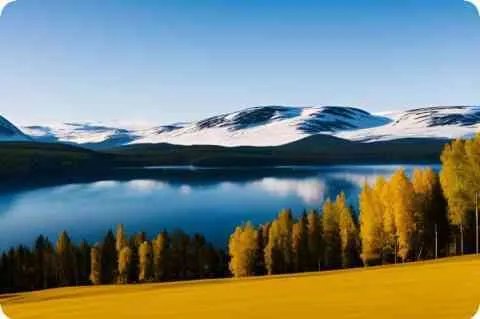 wow任务“林木之间”要怎么做？