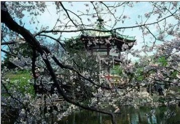 东京有名的地方